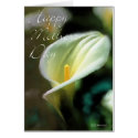 Cala Lilly-HMD cards