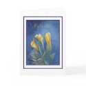 cala lily cards by klocke cala lily cards