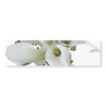 CALA LILY CLUSTER BUMPER STICKERS