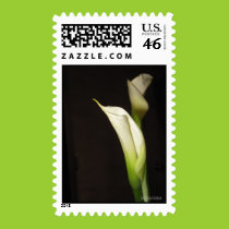 Cala Lily Duo Postage postage