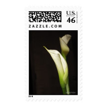 Cala Lily Duo Postage