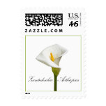 Cala Lily Postage Stamp