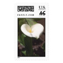 Cala Lily postage