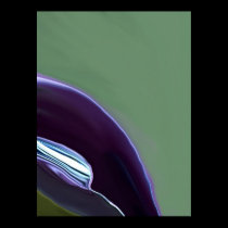 Cala Lily posters