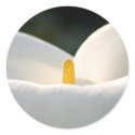 Cala Lily Sticker