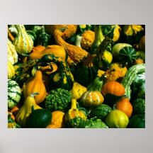 Calabazas a montones impresiones