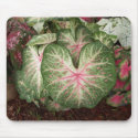 Caladium Galaxy mousepads