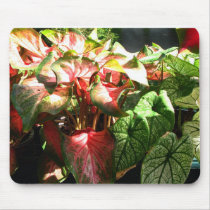 CALADIUM mousepads