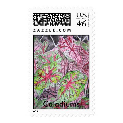 caladiums_plant_painting, Caladiums Postage Stamps by dereklovessheila