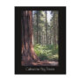 Calaveras Big Trees Post Cards