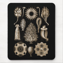 Calcarea Mousepad