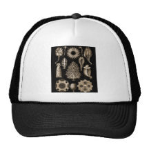 Calcarea Trucker Hats