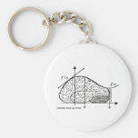Calculus Hurts my Brain Keychains
