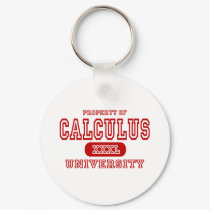 Calculus University keychains