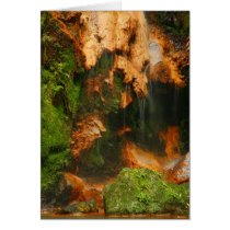 Caldeira Velha - Azores Greeting Cards