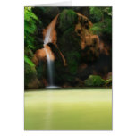 Caldeira Velha - Azores cards