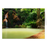 Caldeira Velha - Azores cards