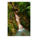 Caldeira Velha, Azores posters by gavila_pt Caldeira Velha, Azores posters