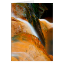 Caldeira Velha Park Greeting Card