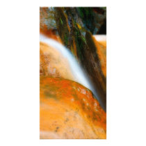 Caldeira Velha Park Picture Card