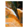 Caldeira Velha Park Art Photo