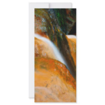 Caldeira Velha Park Rack Cards
