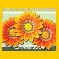 Calendar 2009