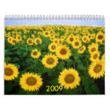 Calendar, 2009 by funny_tshirt Calendar, 2009