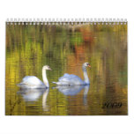 Calendar 2009 - Customized