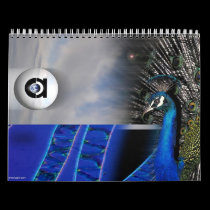 calendar 2011 calendars
