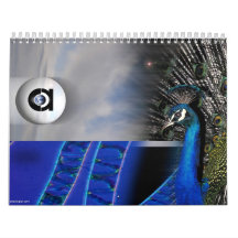 calendar 2011