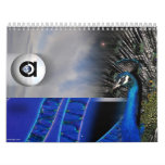 calendar 2011
