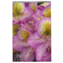 Calendar 2011