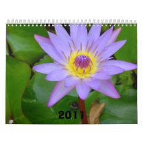 Calendar, 2011
