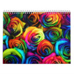 Calendar 2011