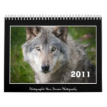Calendar, 2011 wolf
