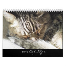 Calendar - 2012 Cat Naps
