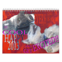 CALENDAR 2013, FUNNY PETS GRAPHICS, MONTHLY PLANNE
