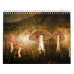 Calendar-A Touch of Magic