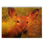 Calendar-Animal Fantasy