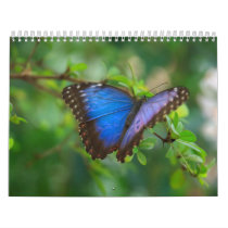 Calendar-Animals-The Art of Insects & Animals