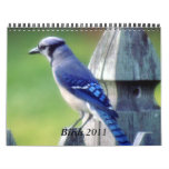 Calendar Birds 2011