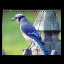Calendar Birds 2011 calendars