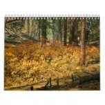 CALENDAR BY RANDY