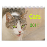 Calendar - Cats, 2011