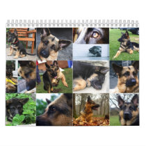 Calendar - German Shepherd by phila67 Calendar - German Shepherd
