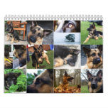Calendar - German Shepherd