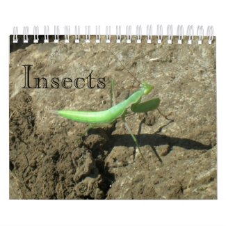 Calendar - Insects