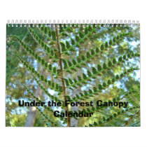 Calendar Nature Under the Forest Canopy Calendars