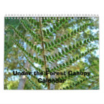 Calendar Nature Under the Forest Canopy Calendars